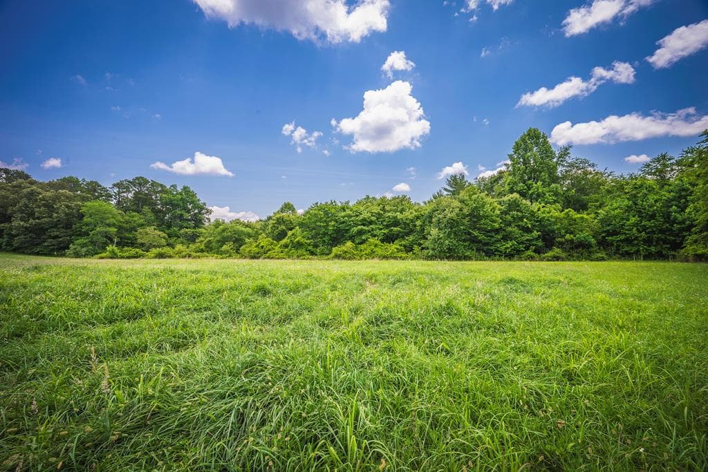 14.36 AC Night Lane, Epworth GA 30541 - Photo