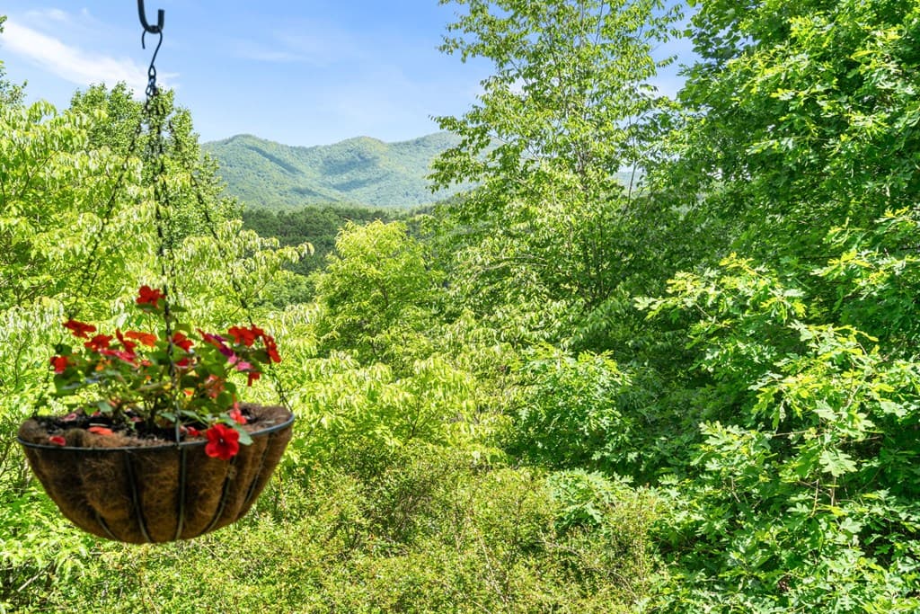 7866 Upper Hightower Road, Hiawassee GA 30546 - Photo