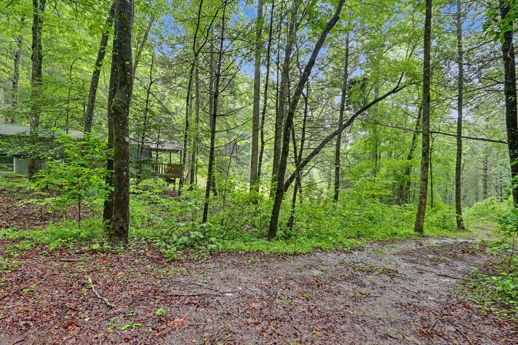 1070 Morgan Creek Road, Marble NC 28905 - Photo