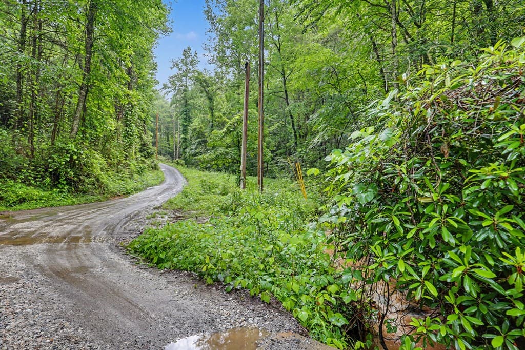 1070 Morgan Creek Road, Marble NC 28905 - Photo