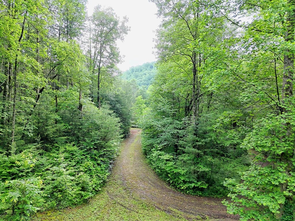 1070 Morgan Creek Road, Marble NC 28905 - Photo