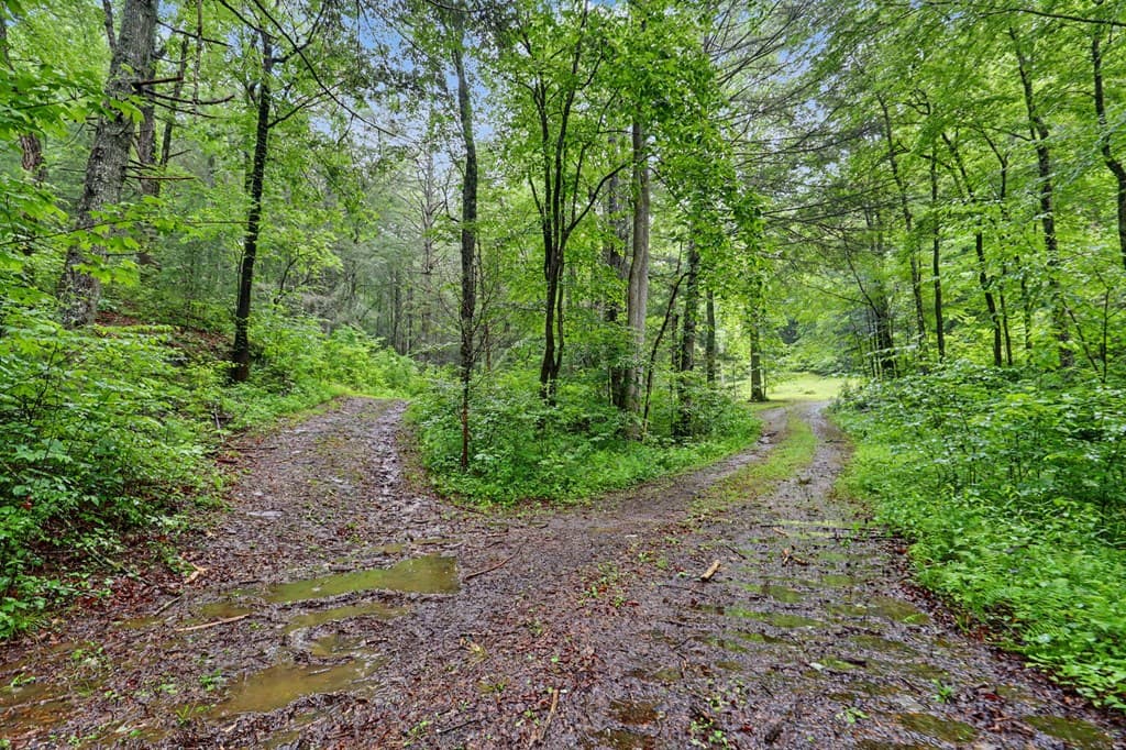 1070 Morgan Creek Road, Marble NC 28905 - Photo