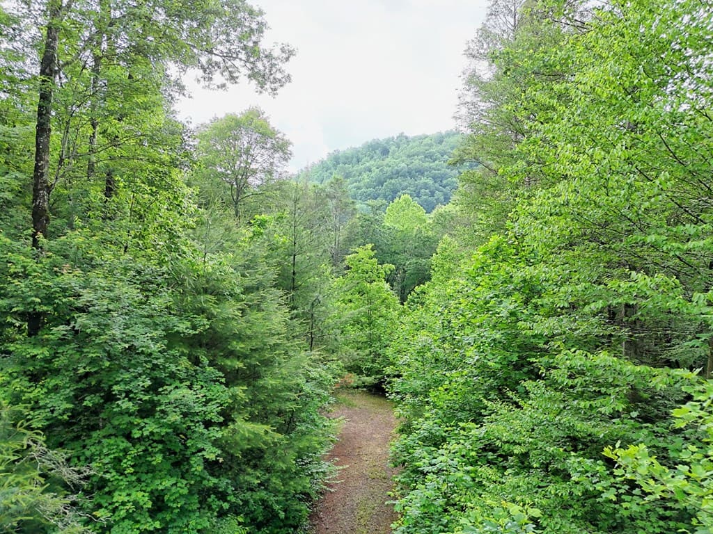 1070 Morgan Creek Road, Marble NC 28905 - Photo
