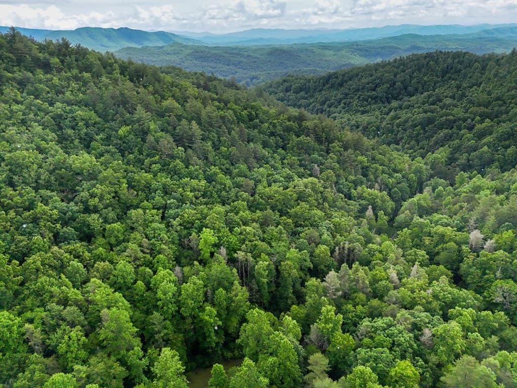 1070 Morgan Creek Road, Marble NC 28905 - Photo