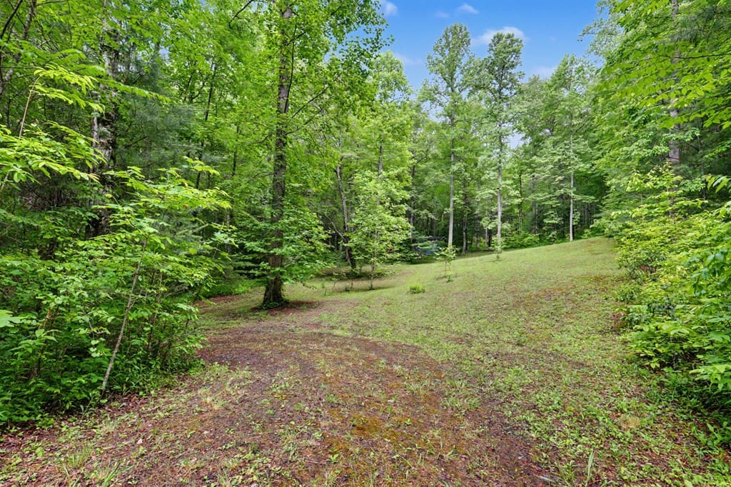 1070 Morgan Creek Road, Marble NC 28905 - Photo
