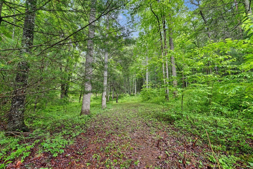 1070 Morgan Creek Road, Marble NC 28905 - Photo