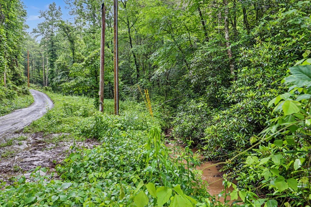 1070 Morgan Creek Road, Marble NC 28905 - Photo