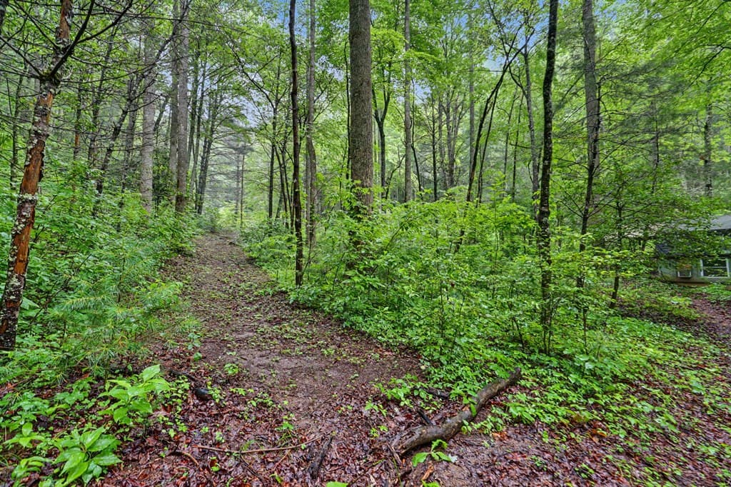 1070 Morgan Creek Road, Marble NC 28905 - Photo