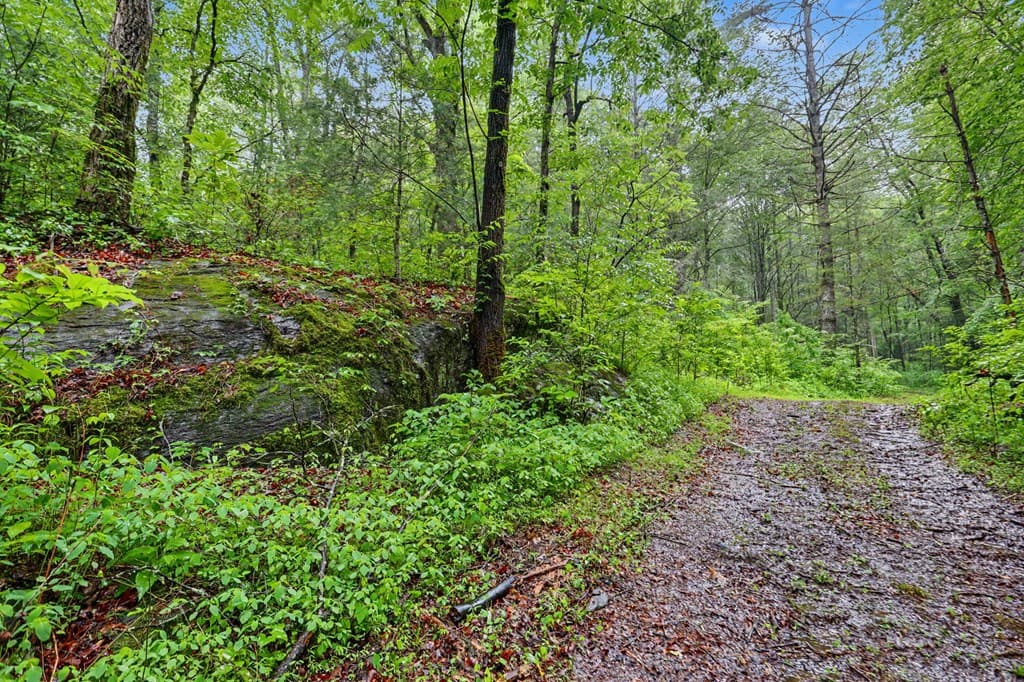 1070 Morgan Creek Road, Marble NC 28905 - Photo
