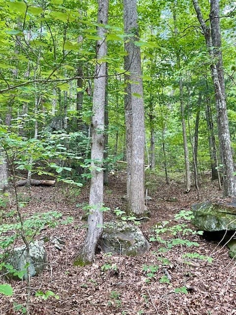 11 Lonesome Pine Road, Murphy NC 28906 - Photo