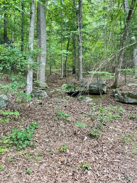 11 Lonesome Pine Road, Murphy NC 28906 - Photo