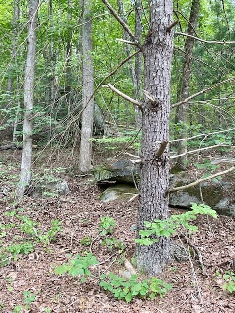 11 Lonesome Pine Road, Murphy NC 28906 - Photo