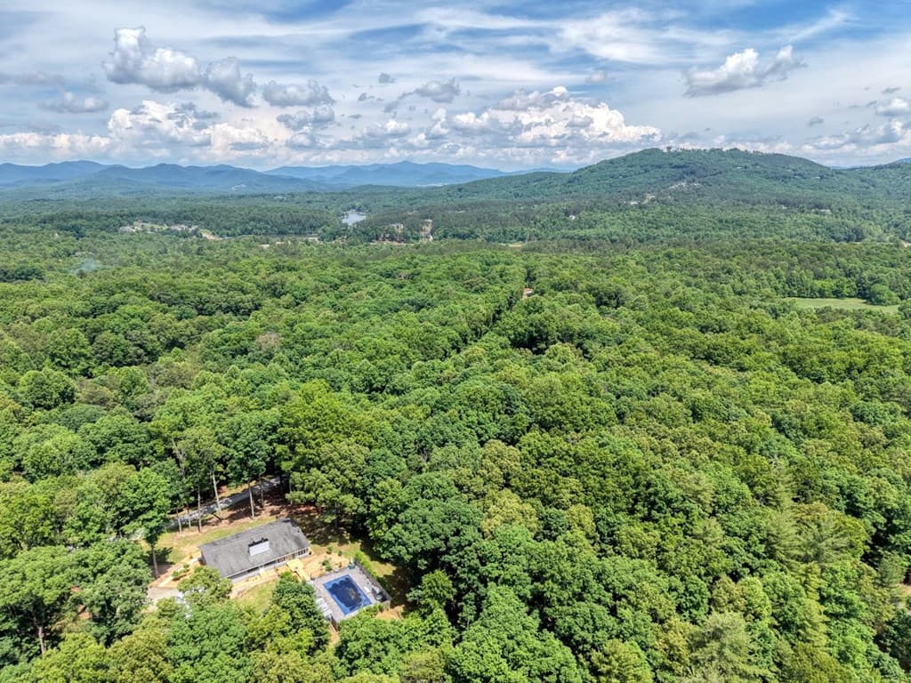 927 Paul Nicholson Road, Blairsville GA 30512 - Photo