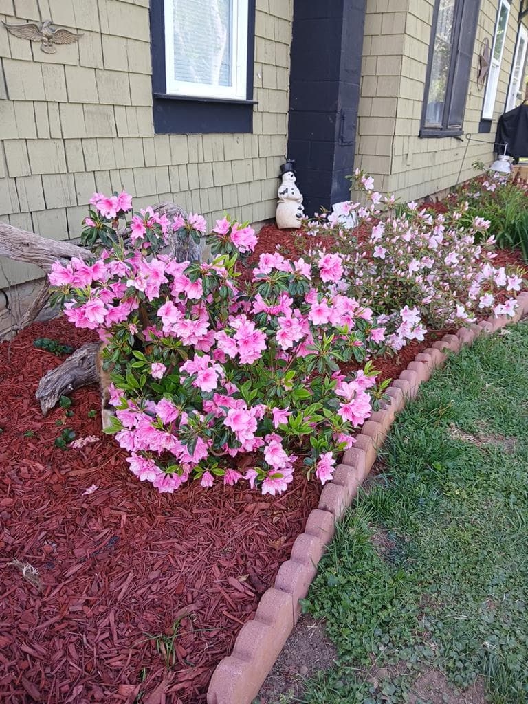 48 Fisher Street, Andrews NC 28901 - Photo