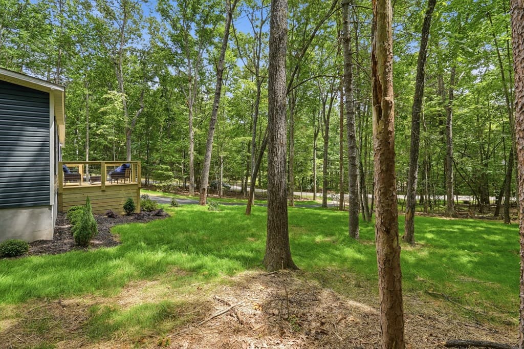 725 Tomahawk Trail, Blairsville GA 30512 - Photo