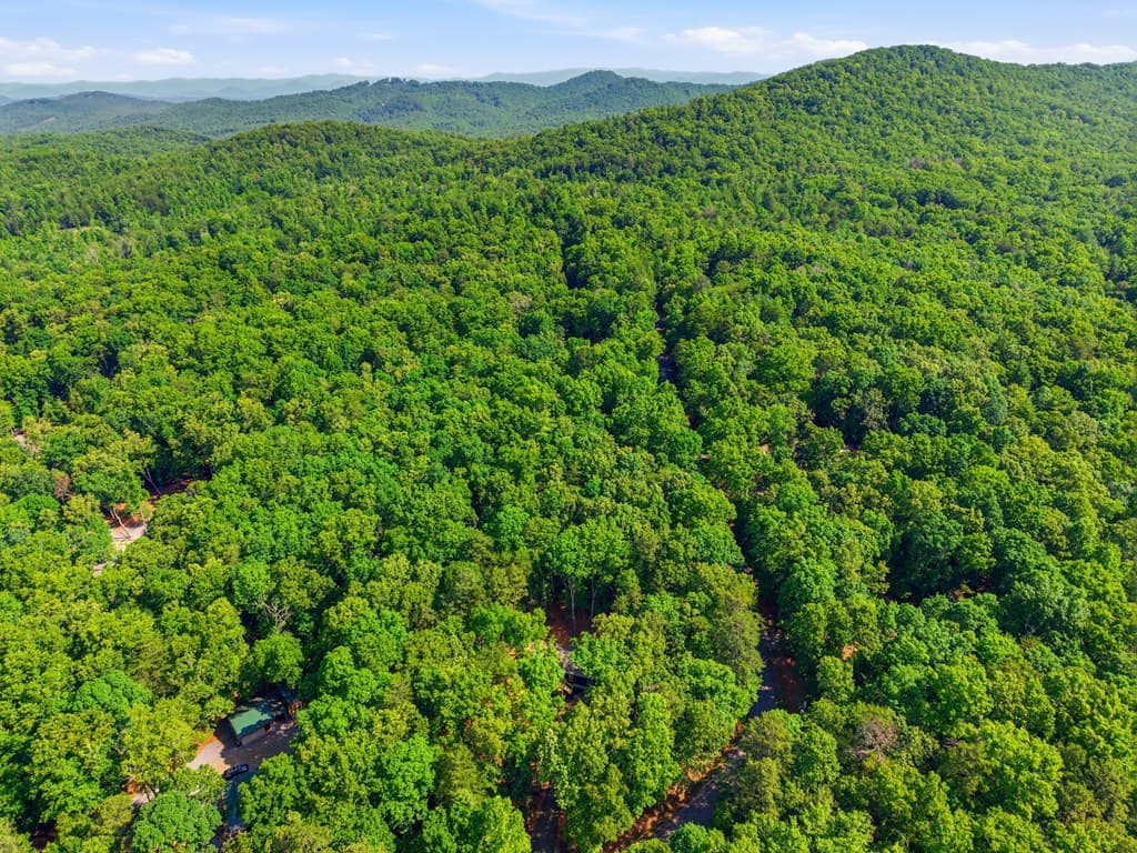 725 Tomahawk Trail, Blairsville GA 30512 - Photo