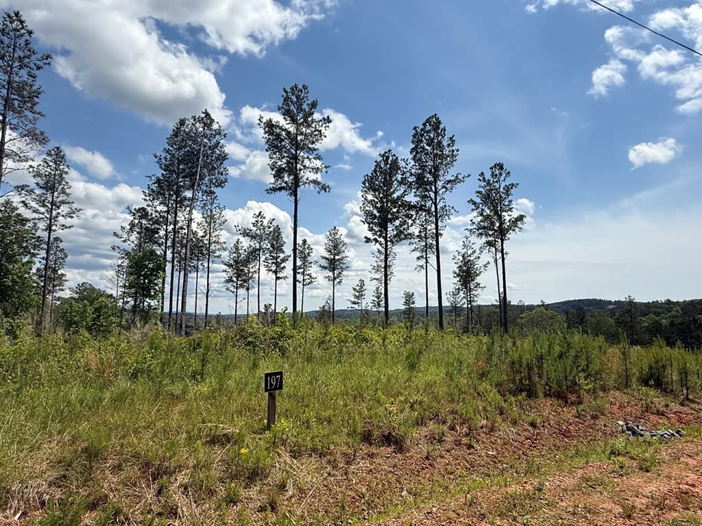 197 Blalock Mountain Court, Talking Rock GA 30175 - Photo