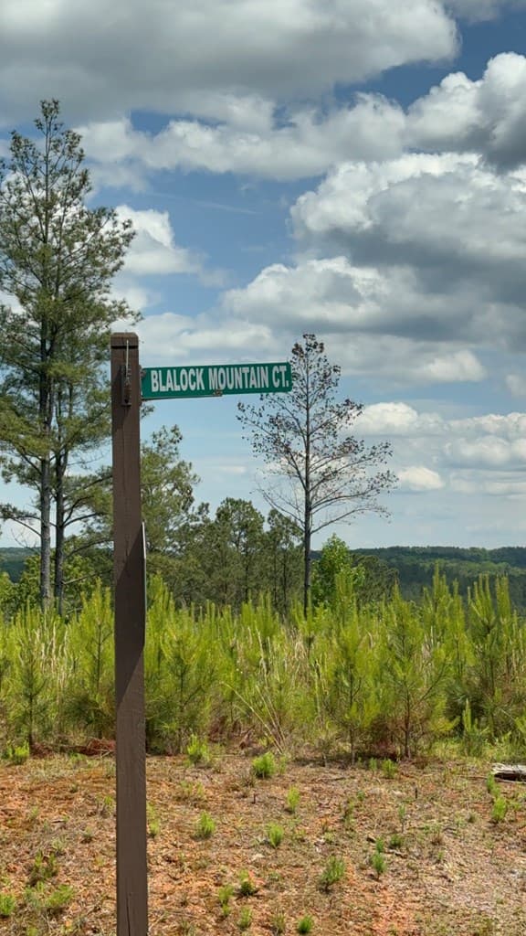 197 Blalock Mountain Court, Talking Rock GA 30175 - Photo