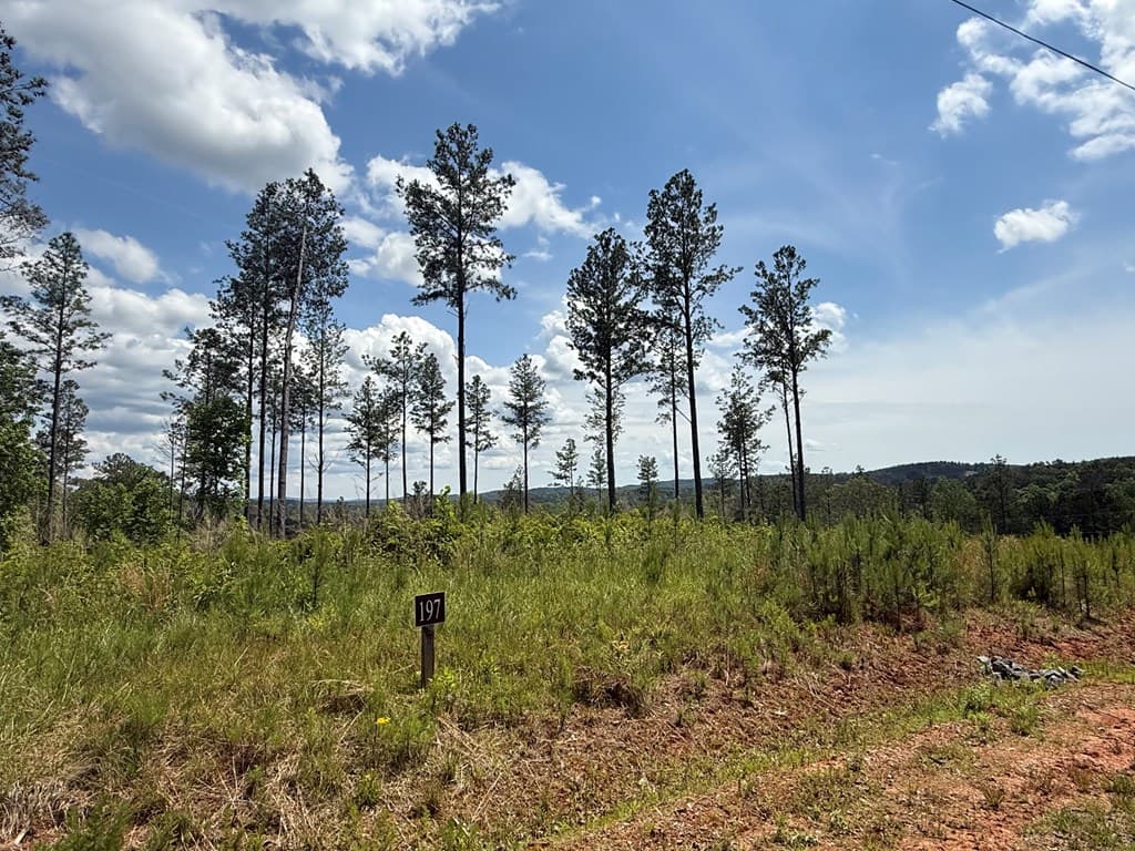 197 Blalock Mountain Court, Talking Rock GA 30175 - Photo