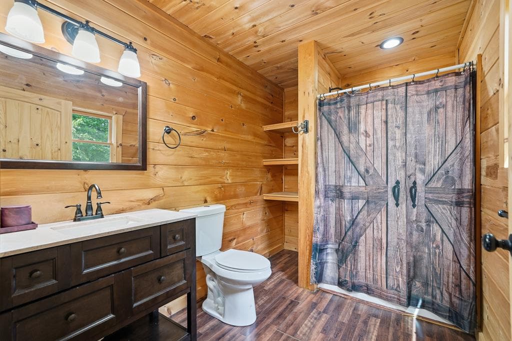 55 Hallee Drive, Mineral Bluff GA 30559 - Photo