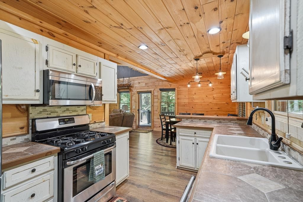 55 Hallee Drive, Mineral Bluff GA 30559 - Photo