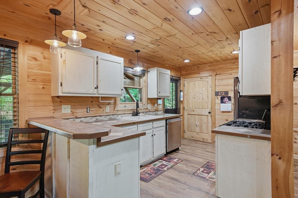 55 Hallee Drive, Mineral Bluff GA 30559 - Photo