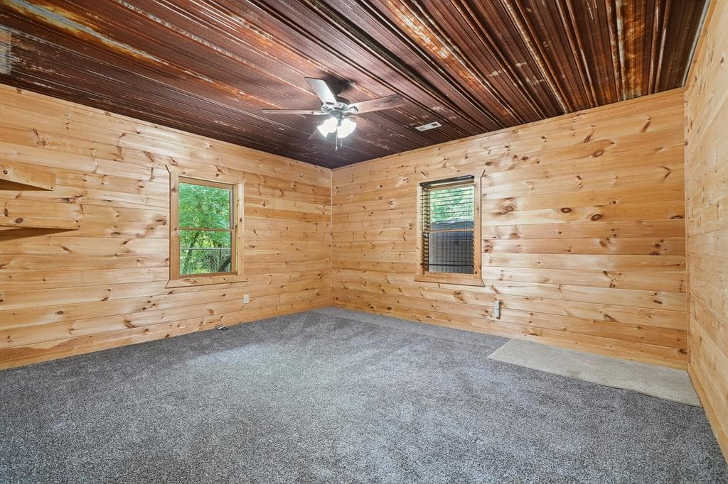 55 Hallee Drive, Mineral Bluff GA 30559 - Photo