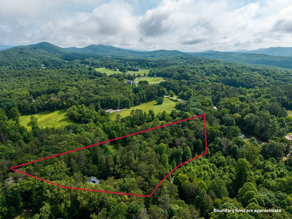 55 Hallee Drive, Mineral Bluff GA 30559 - Photo