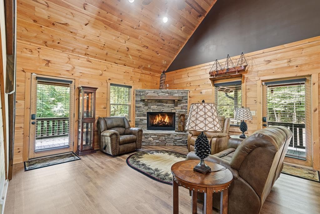 55 Hallee Drive, Mineral Bluff GA 30559 - Photo