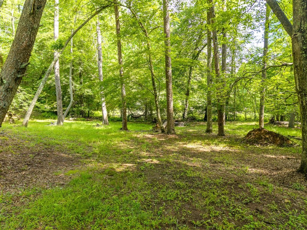 55 Hallee Drive, Mineral Bluff GA 30559 - Photo