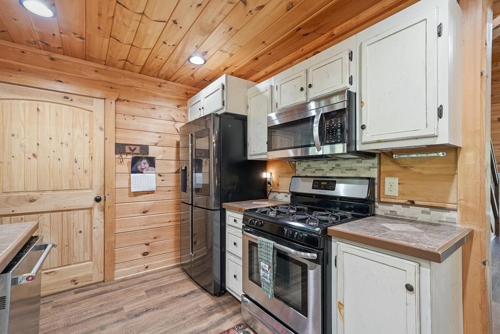 55 Hallee Drive, Mineral Bluff GA 30559 - Photo