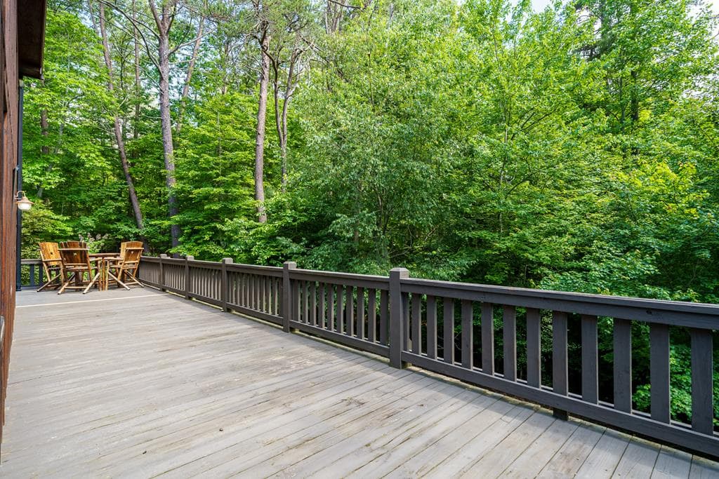 55 Hallee Drive, Mineral Bluff GA 30559 - Photo