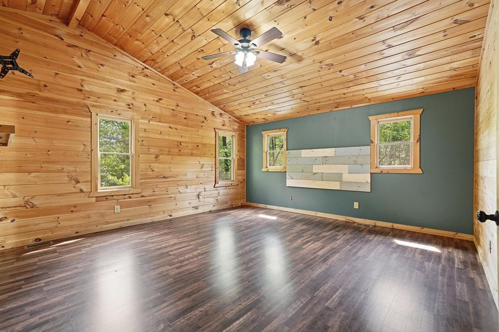 55 Hallee Drive, Mineral Bluff GA 30559 - Photo
