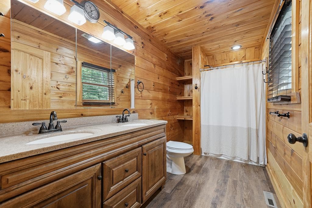 55 Hallee Drive, Mineral Bluff GA 30559 - Photo