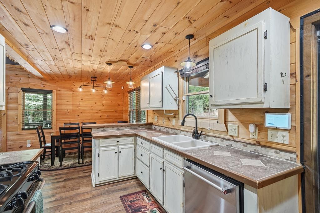 55 Hallee Drive, Mineral Bluff GA 30559 - Photo