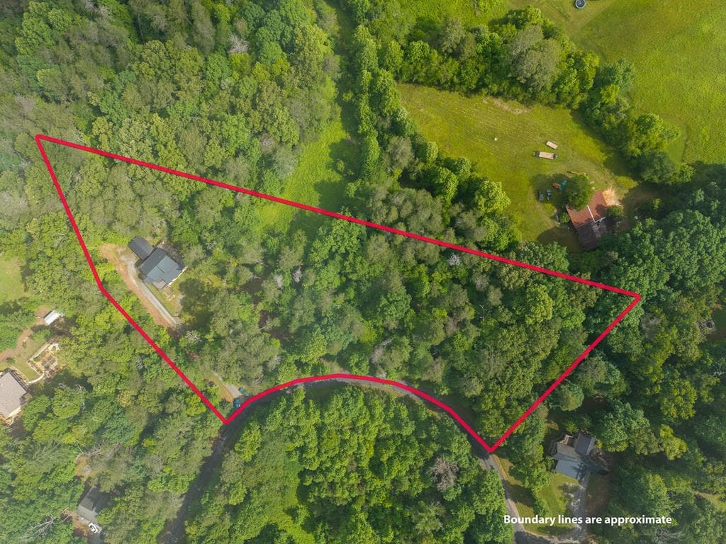 55 Hallee Drive, Mineral Bluff GA 30559 - Photo