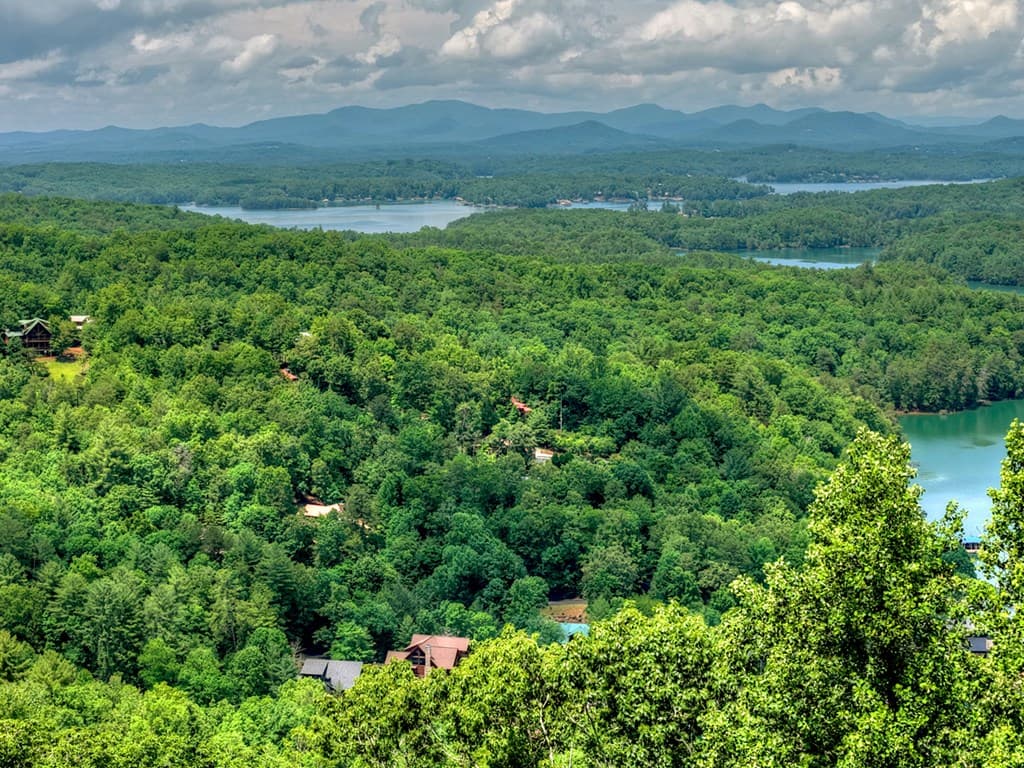 454 Genessee Path, Blue Ridge GA 30513 - Photo