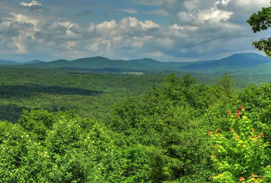454 Genessee Path, Blue Ridge GA 30513 - Photo