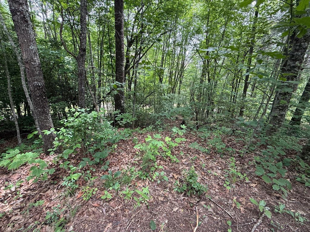 00 Mr Bert Road, Hiawassee GA 30548 - Photo