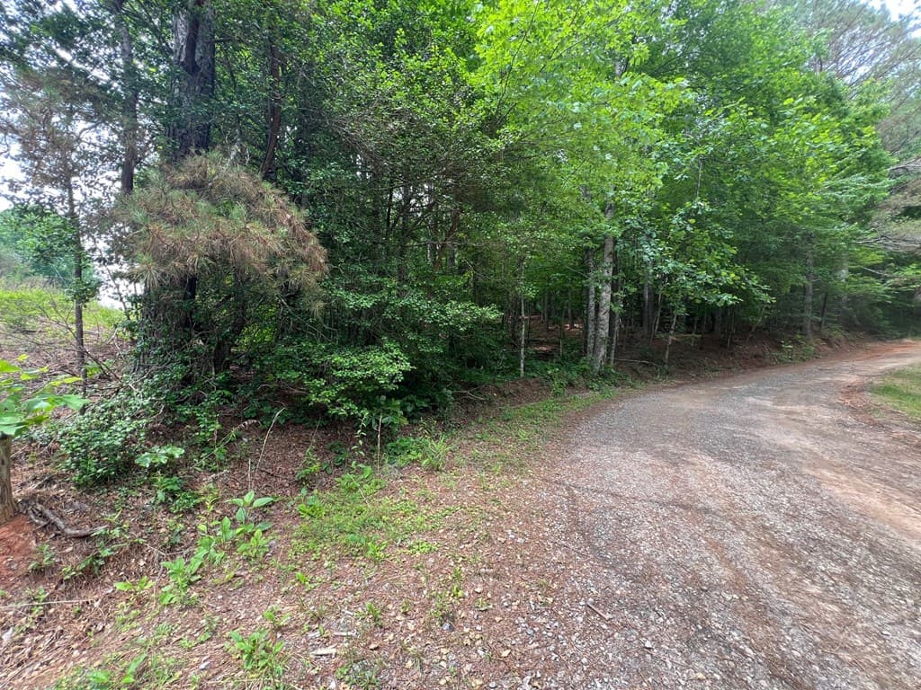 00 Mr Bert Road, Hiawassee GA 30548 - Photo