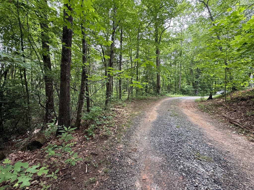 00 Mr Bert Road, Hiawassee GA 30548 - Photo