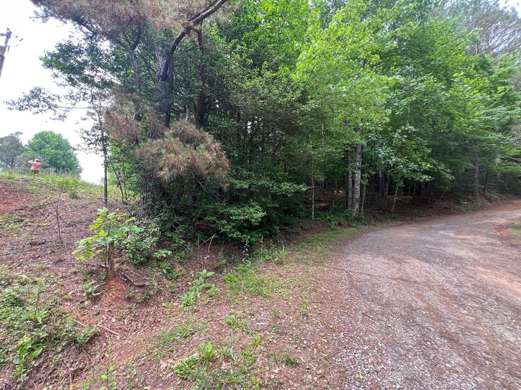 00 Mr Bert Road, Hiawassee GA 30548 - Photo