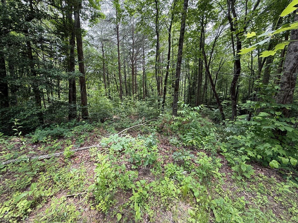 00 Mr Bert Road, Hiawassee GA 30548 - Photo