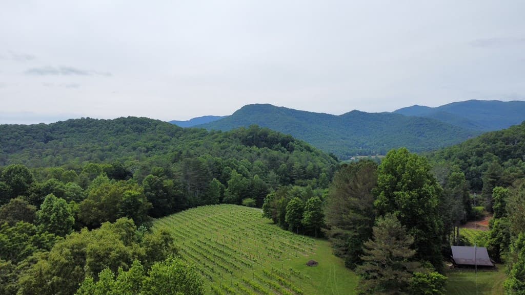 00 Mr Bert Road, Hiawassee GA 30548 - Photo