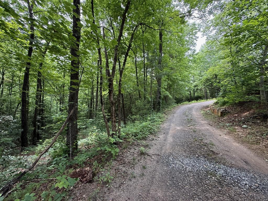 00 Mr Bert Road, Hiawassee GA 30548 - Primary photo