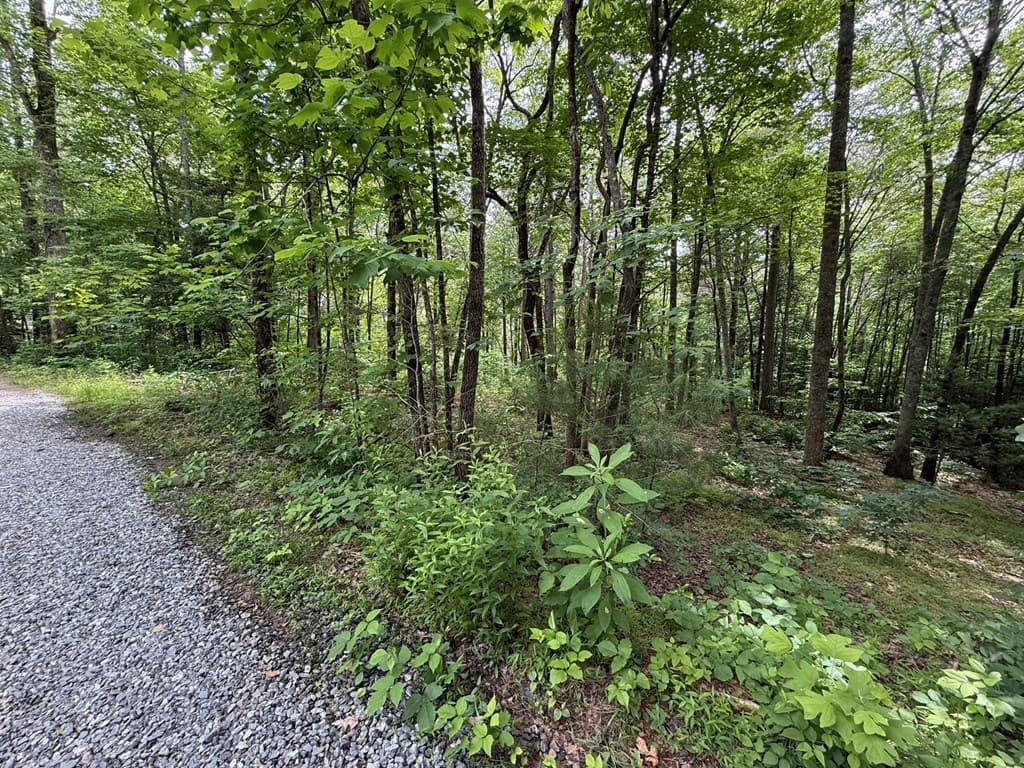 00 Mr Bert Road, Hiawassee GA 30548 - Photo