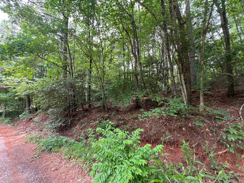 00 Mr Bert Road, Hiawassee GA 30548 - Photo