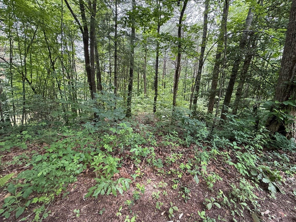 00 Mr Bert Road, Hiawassee GA 30548 - Photo
