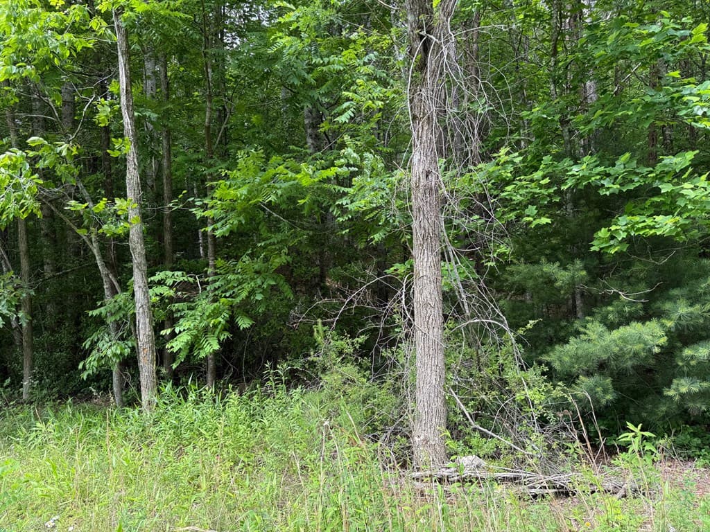 00 Mr Bert Road, Hiawassee GA 30548 - Photo