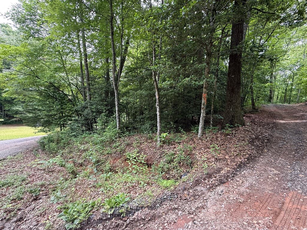 00 Mr Bert Road, Hiawassee GA 30548 - Photo